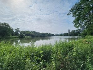 North Pond in Lincoln Park