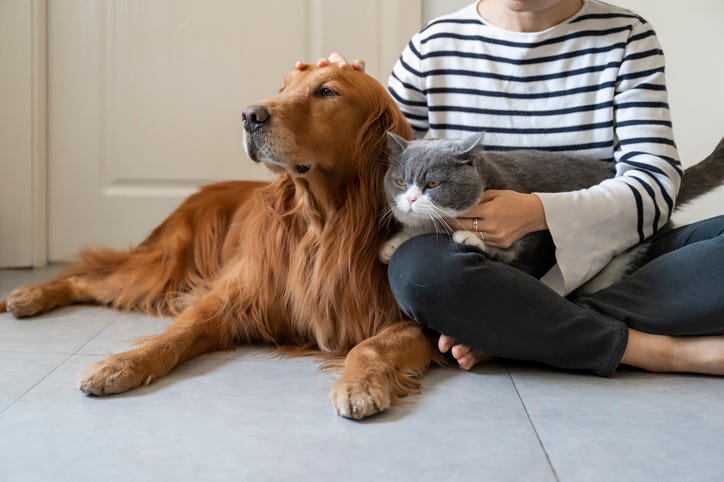 Pets