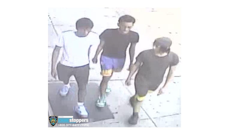 Suspects stole K, CBD jar from Bronx smoke shop