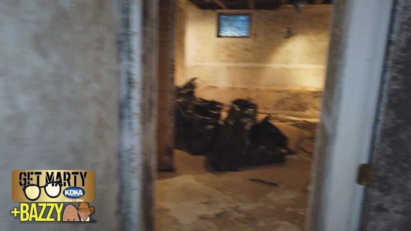 Basement mold