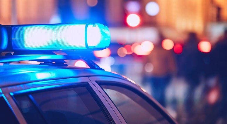 Police Car