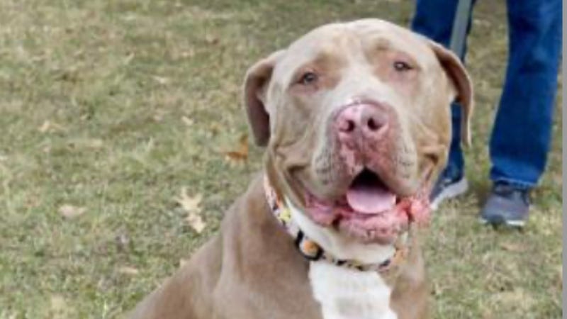 Prince Austin Humane Society 1/20/21