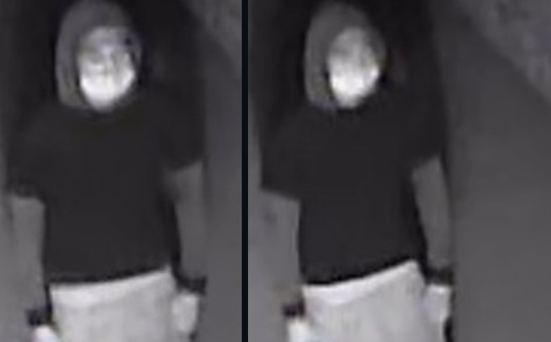 Queens deliverymen robberies