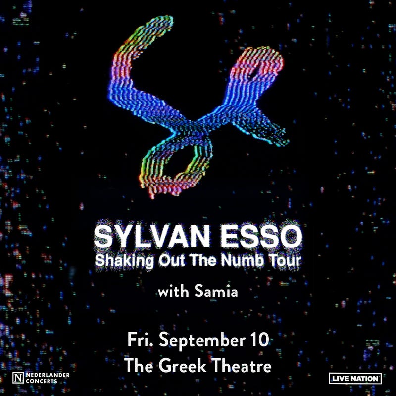 Sylvan Esso