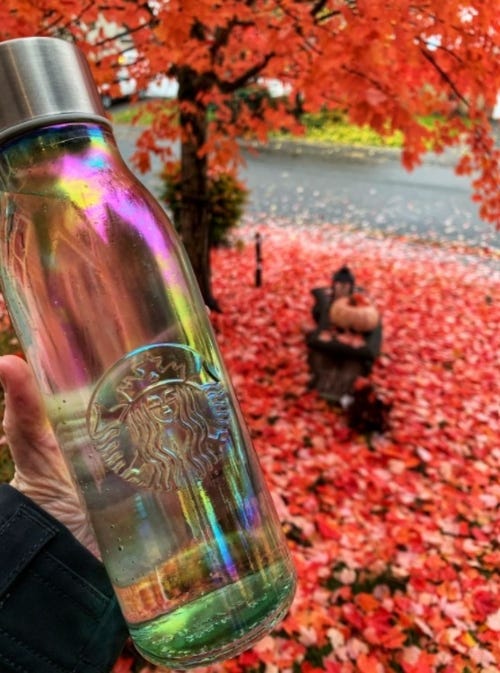 Sheryl's water bottle 1 Thing