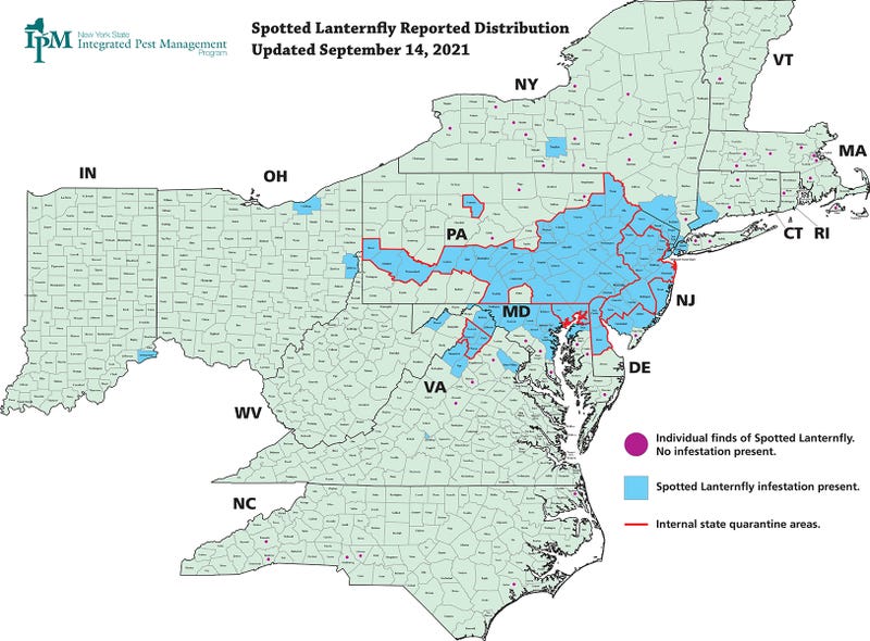 Confirmed Spotted Lanternfly Locations