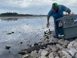 Spill Gator