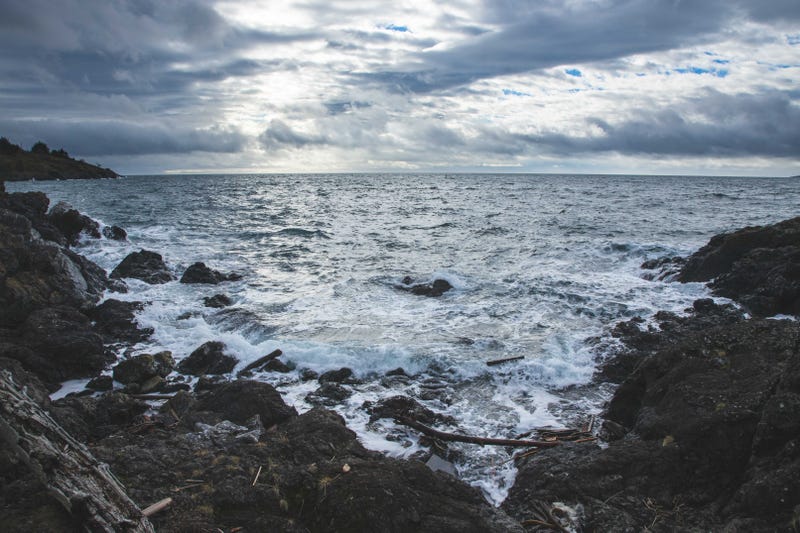 Lime Kiln Point rocky shores