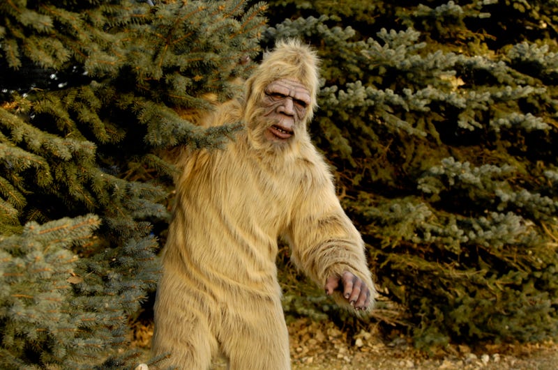 Birthday Bigfoot