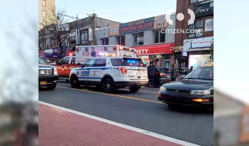 Bronx stabbing
