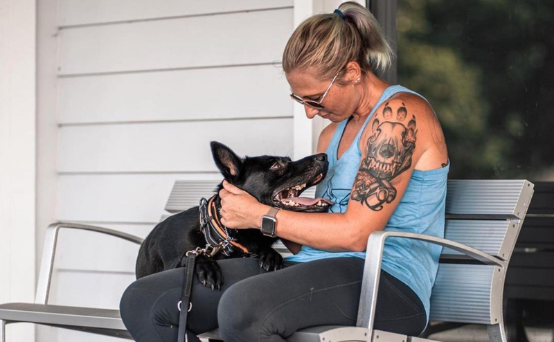 Service dog