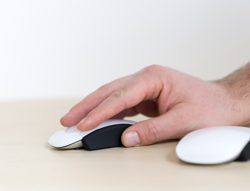 mouse