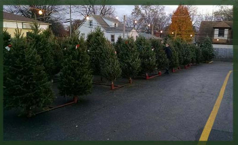 Looking to buy a Christmas tree? Local vendor says you better act fast