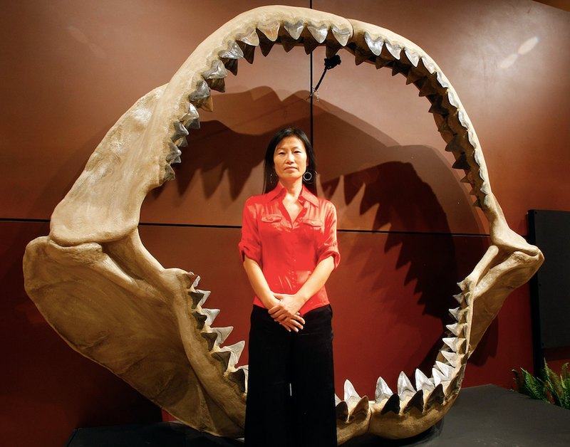 MEG jaws