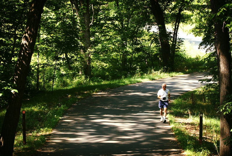 Morton Arboretum