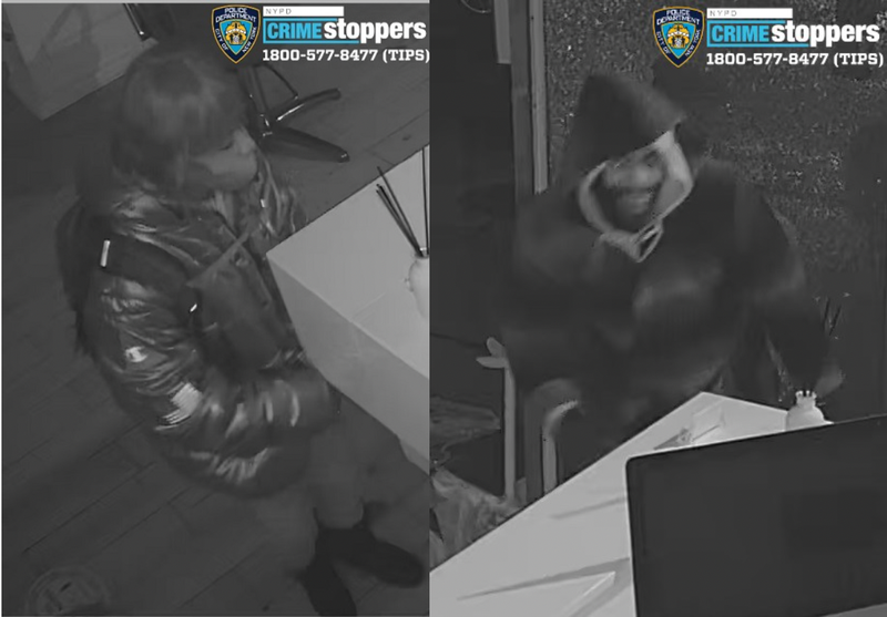 Burglary suspects