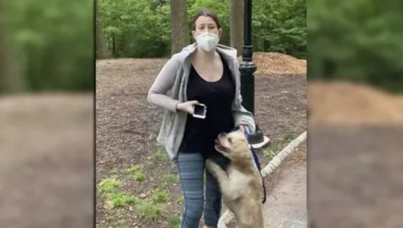 FILE - In this May 25, 2020 file photo, made from video provided by Christian Cooper, Amy Cooper talks with Christian Cooper in Central Park in New York.