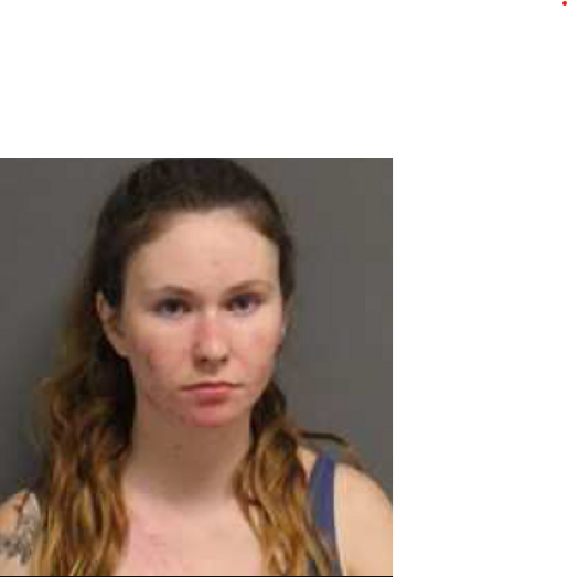 Charged with striking trooper, pedestrian