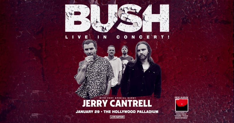 Bush