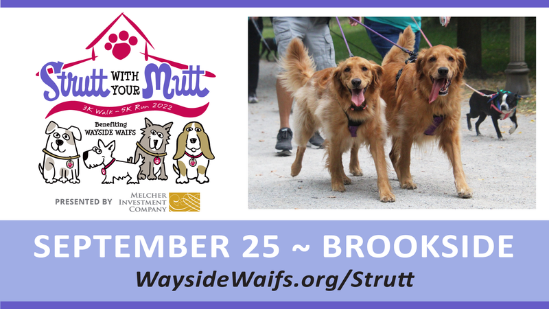 Strutt With Your Mutt