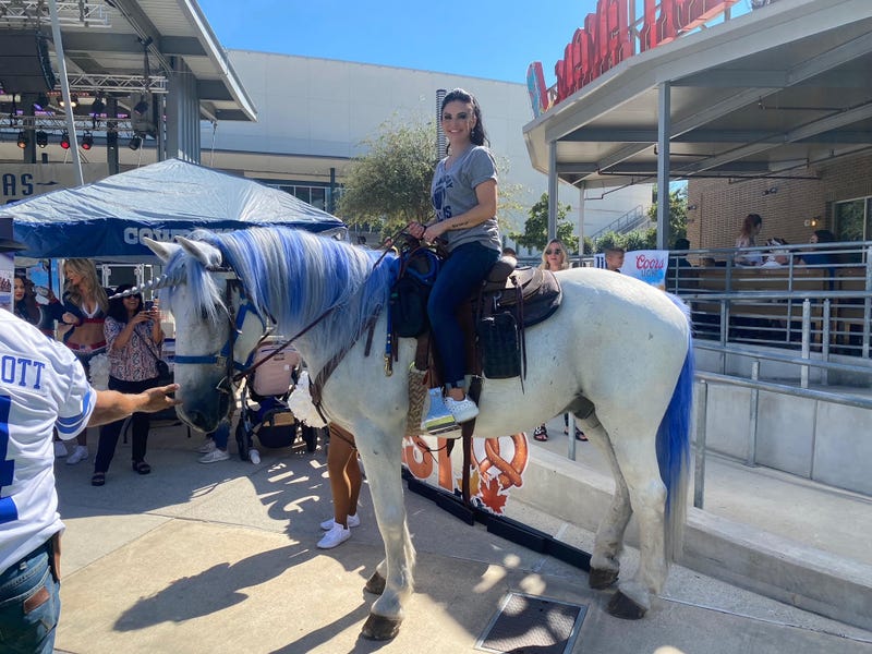 Sheriff the Bar Horse has become a viral sensation.