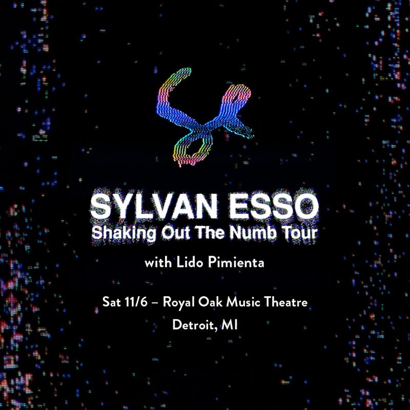 Sylvan Esso