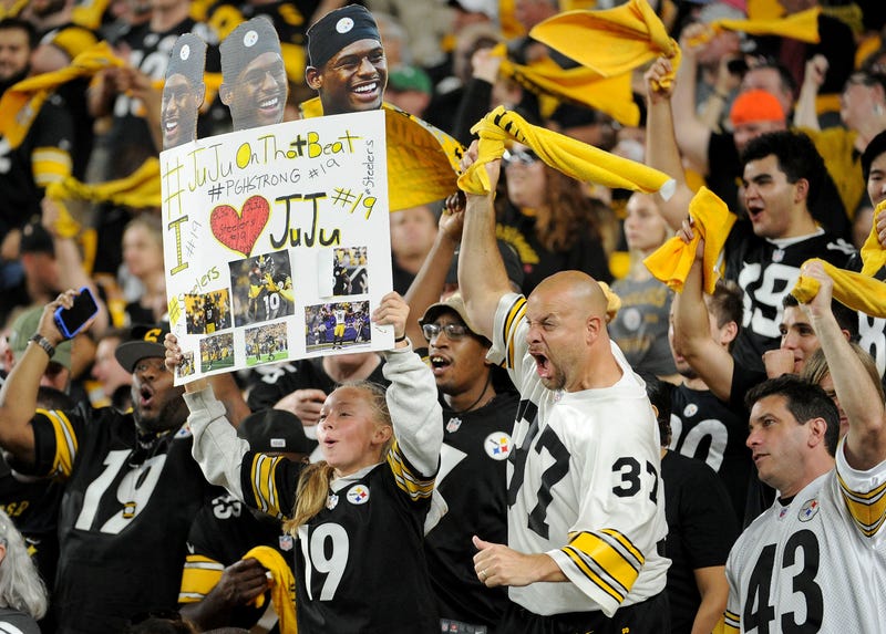 The Steelers have one of the largest fanbases in the NFL.