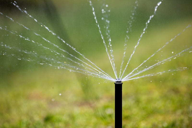 sprinkler