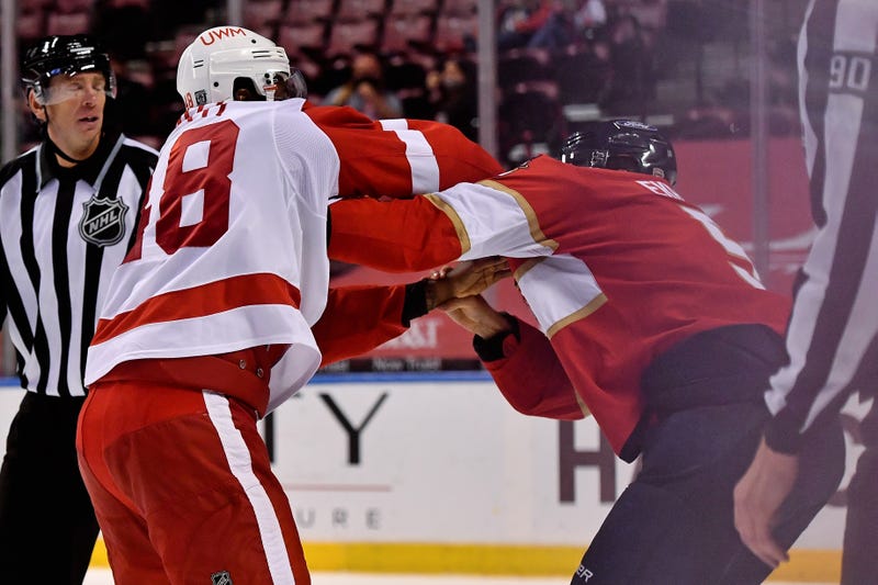 Goldie played, fought and now announces hockey.