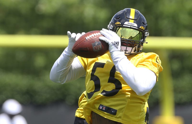 Devin Bush catching ball in practice