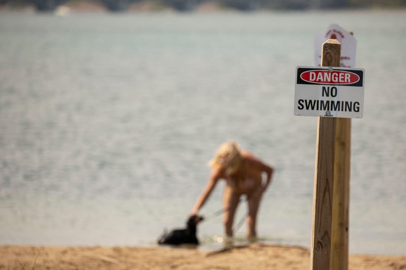 Signs posted at the entrance to the park and all of the beach areas warn visitors to stay out of the water due to the high levels of E. coli in the water.