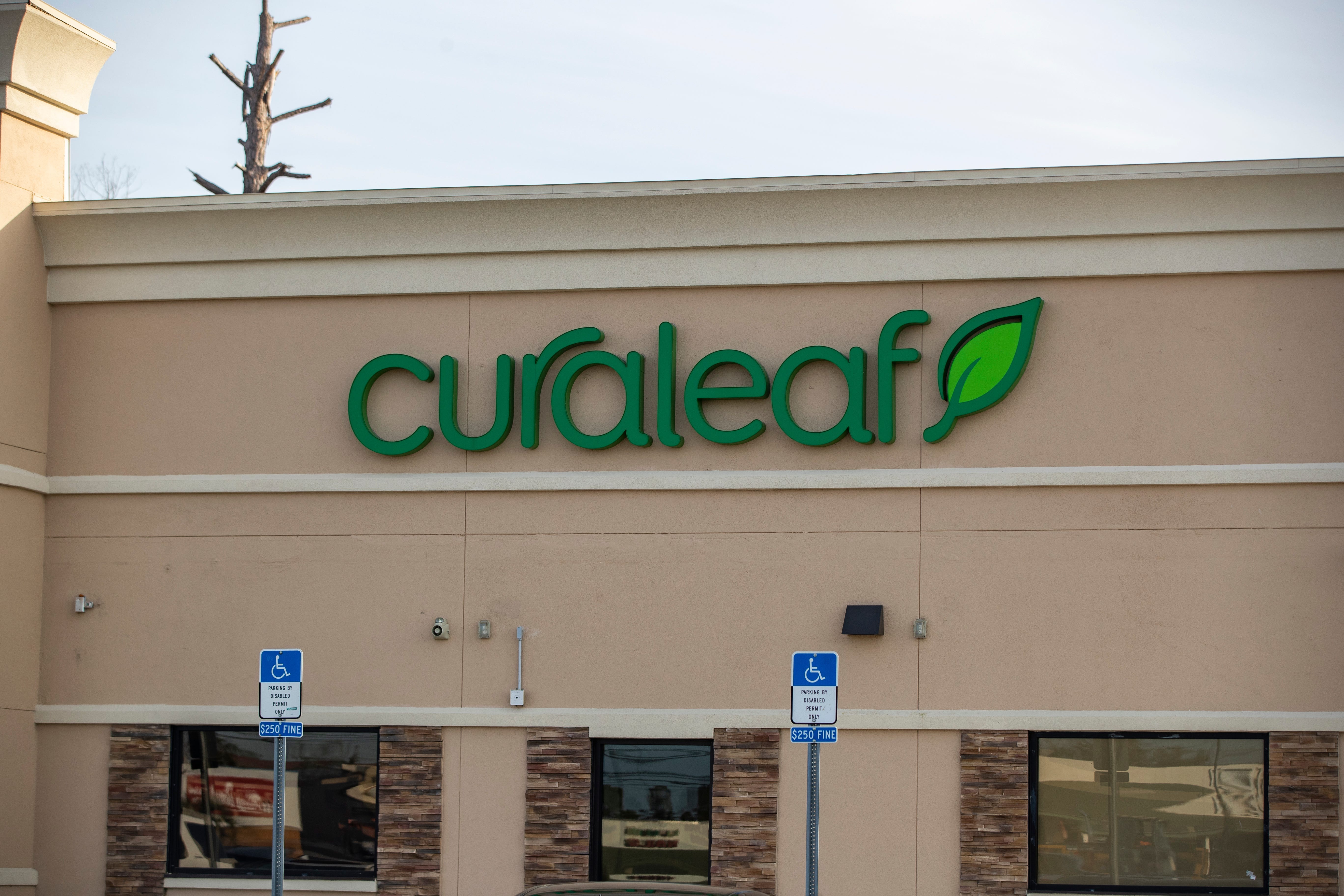 Curaleaf Nj Menu - 7oel1fe