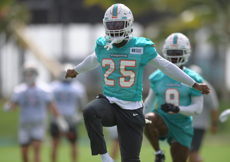 Dolphins Camp 2022