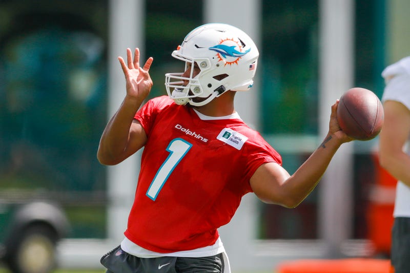 Love Dolphins Jerseys