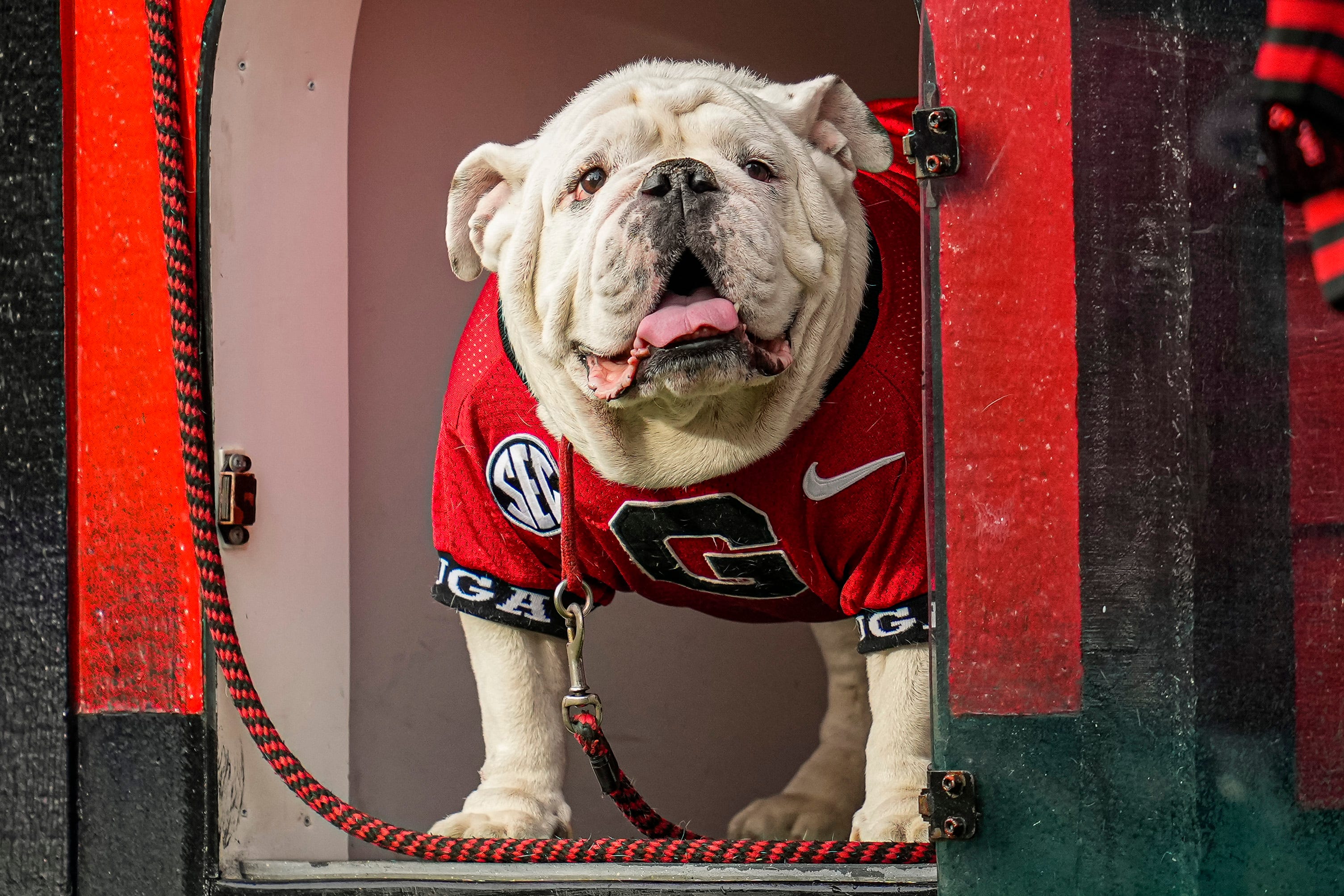 best-case-scenario-for-georgia-this-weekend