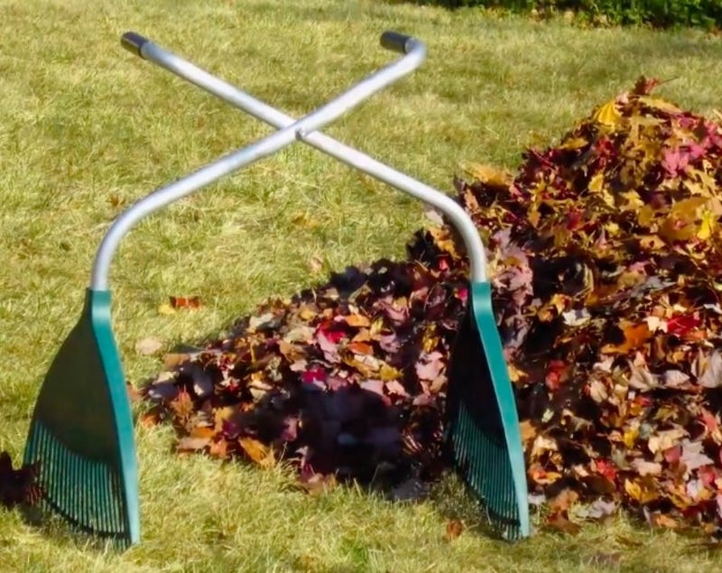 The Ultimate Leaf Lifter