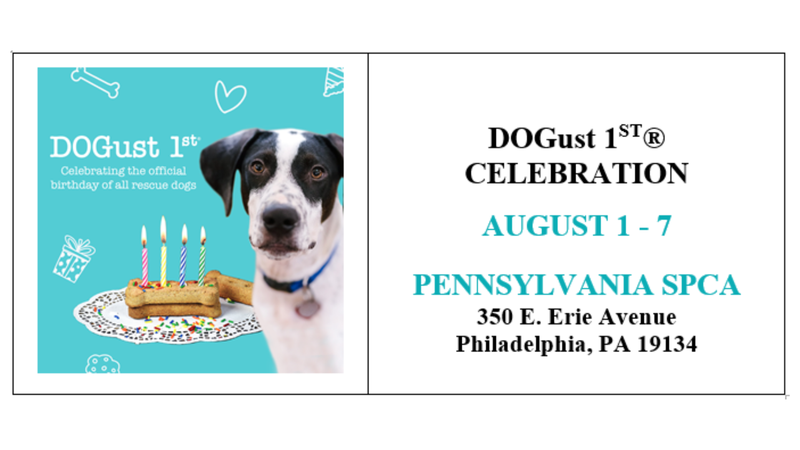 DOGust 1st Celebration - August 1-7 - 350 E. Erie Avenue Philadelphia, PA 19134