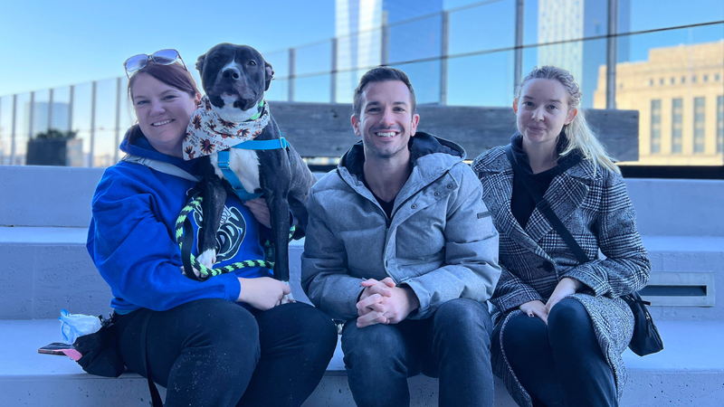 Meet Yang, Bennett & Raven's PSPCA Pet of the Week