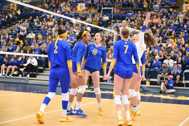 Pitt volleyball celebrating after point