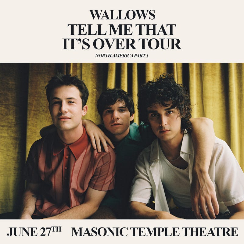 WALLOWS DETROIT