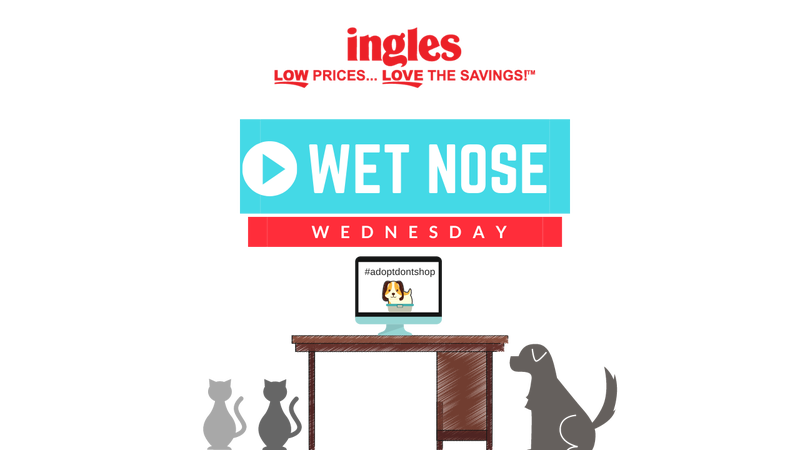 WNW Presented by Ingles