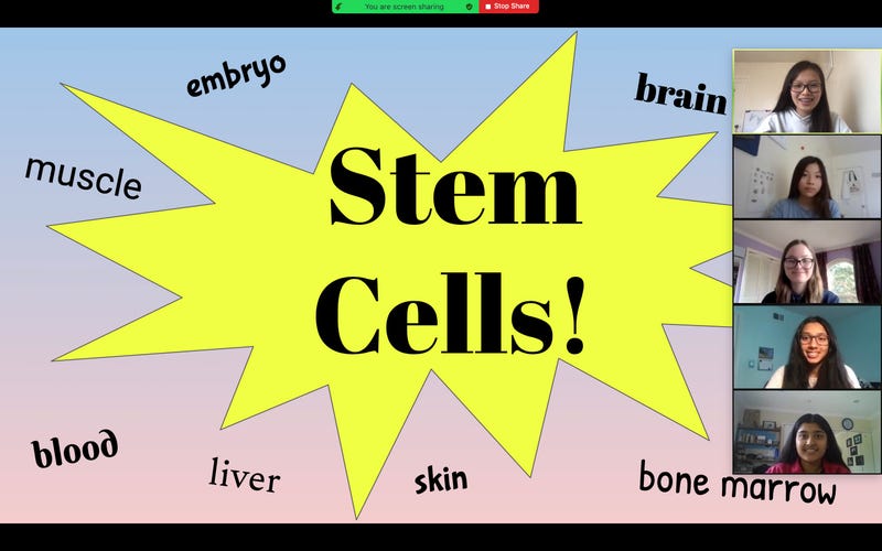 A presentation by Youth in Pre Med
