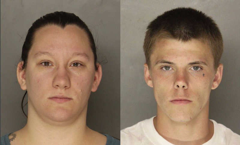 Logsdon and Steinmetz