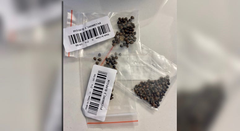 Mystery seeds from China