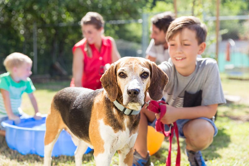 Pet Paradise offering PAW Packs for new pet adoptions; Mar.15th through May 31st