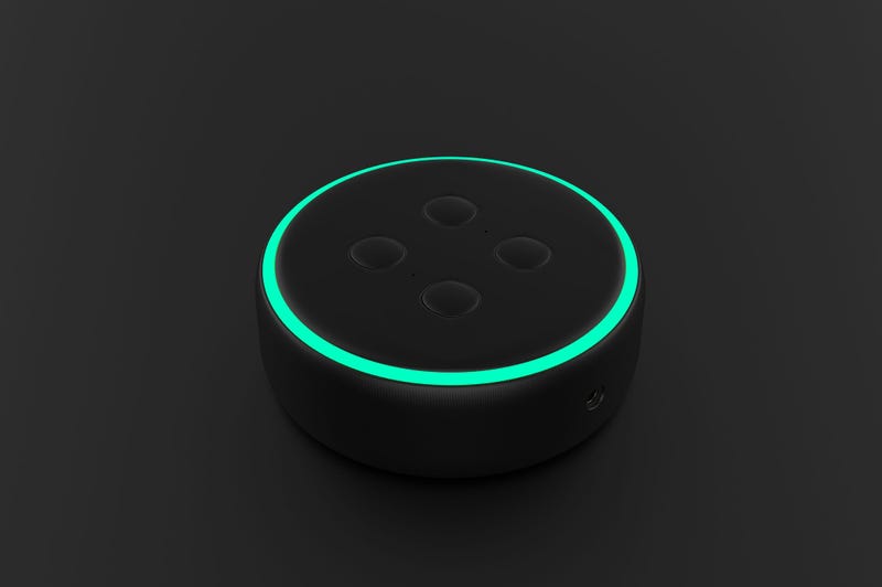 smart speaker