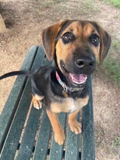 Meet Alaina