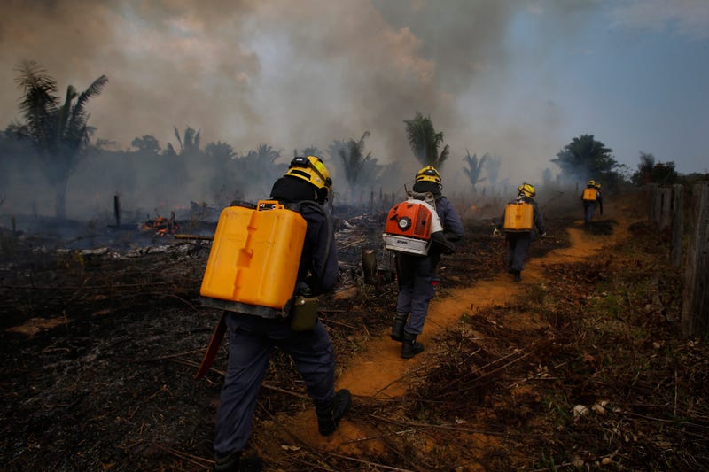 Brazil Amazon