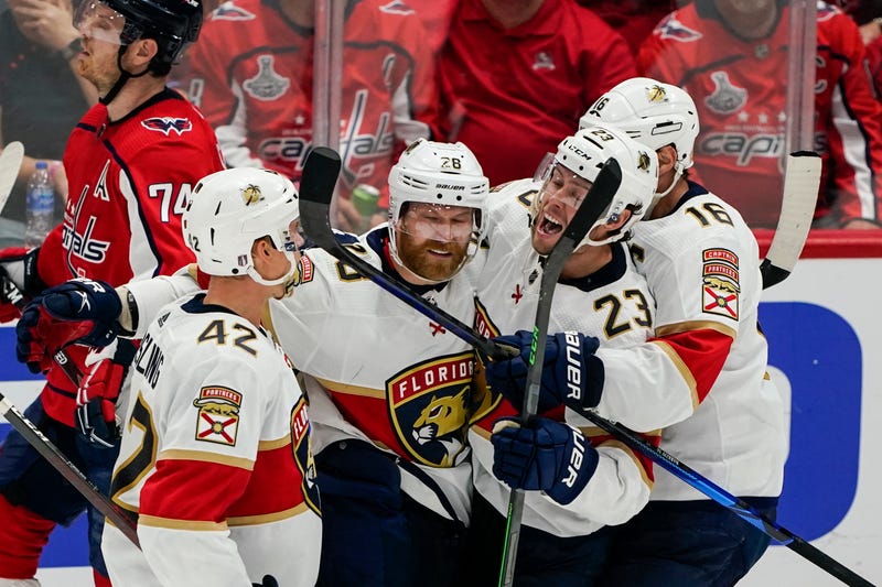 Panthers Capitals Hockey