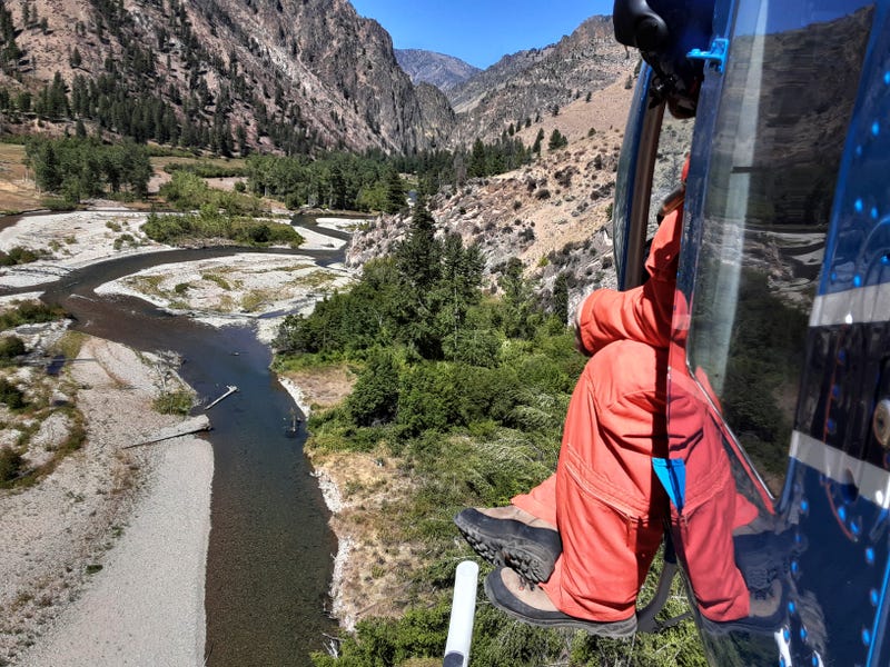 Salmon Protections-Idaho
